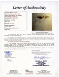 Marilyn Monroe & Joe DiMaggio Signatures -- With JSA COA